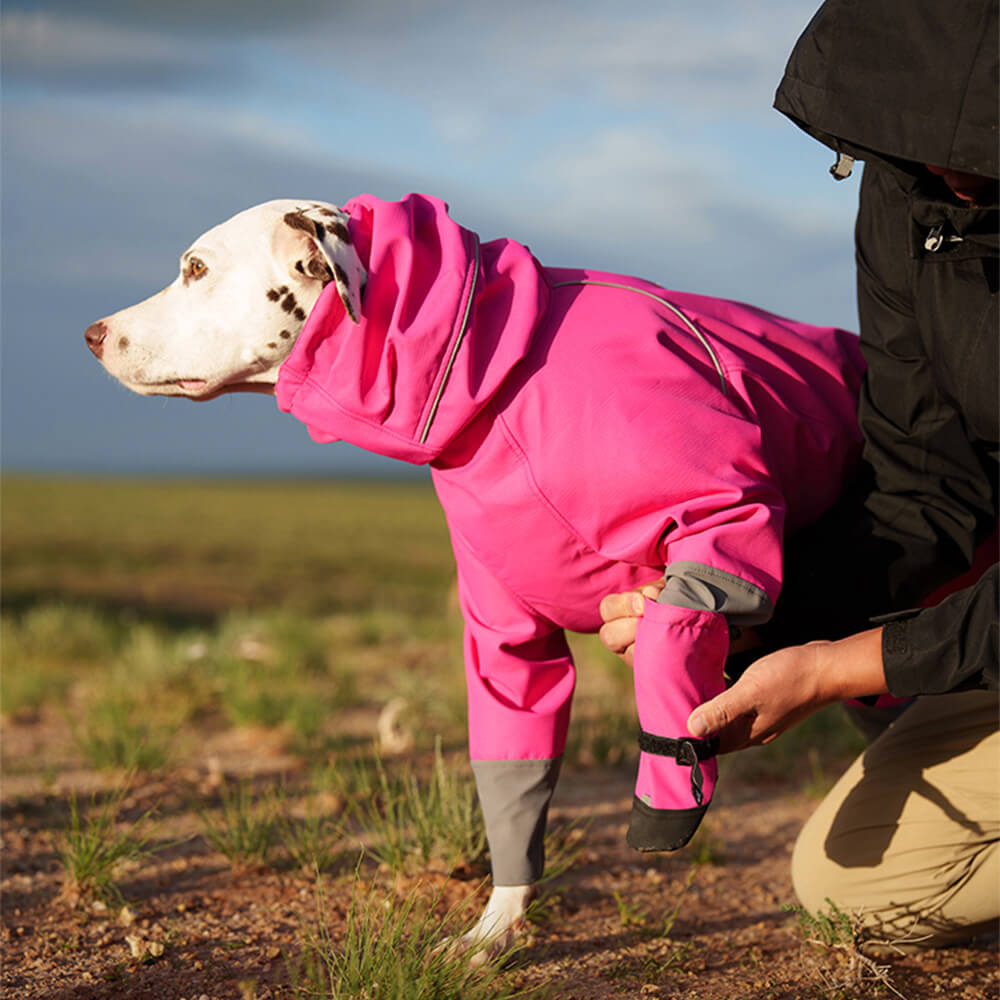 Botas para perros elegantes, impermeables, reflectantes, antideslizantes, de goma y con velcro para exteriores