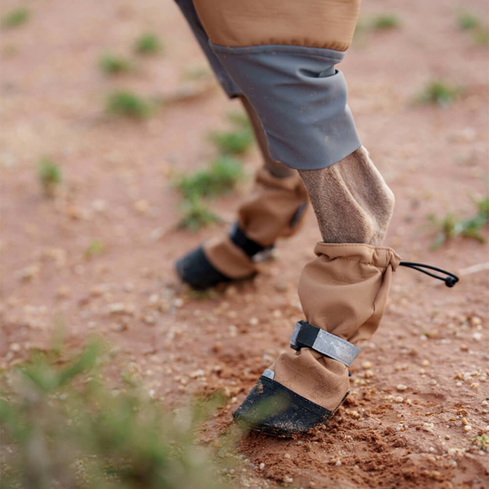 Botas para perros elegantes, impermeables, reflectantes, antideslizantes, de goma y con velcro para exteriores