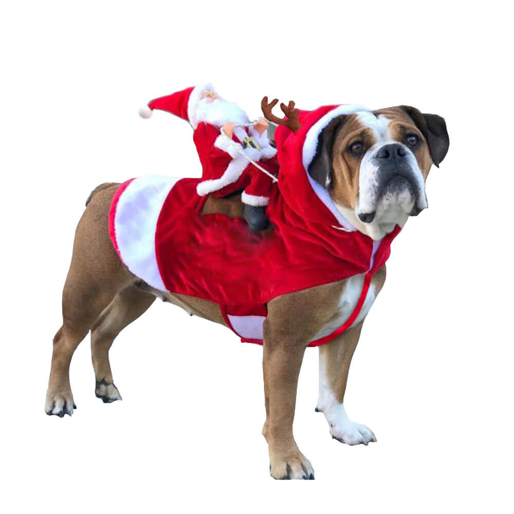 Disfraz de Papá Noel para perro, disfraz de cosplay para mascota, fiesta de Navidad