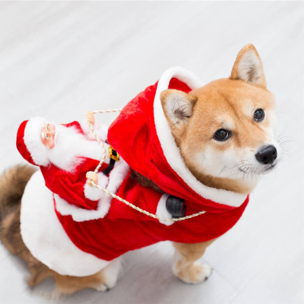 Disfraz de Papá Noel para perro, disfraz de cosplay para mascota, fiesta de Navidad