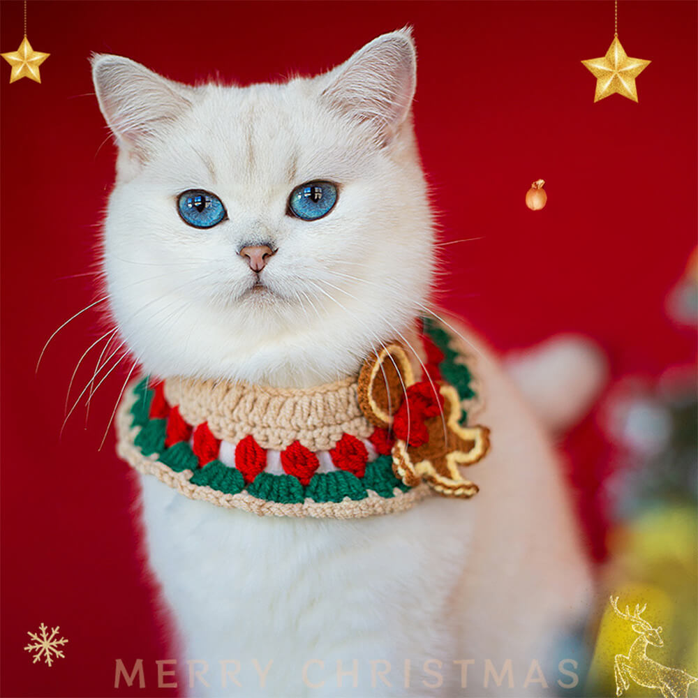 Bufanda de punto de Papá Noel para Navidad, calcetines a juego para mascota y dueño