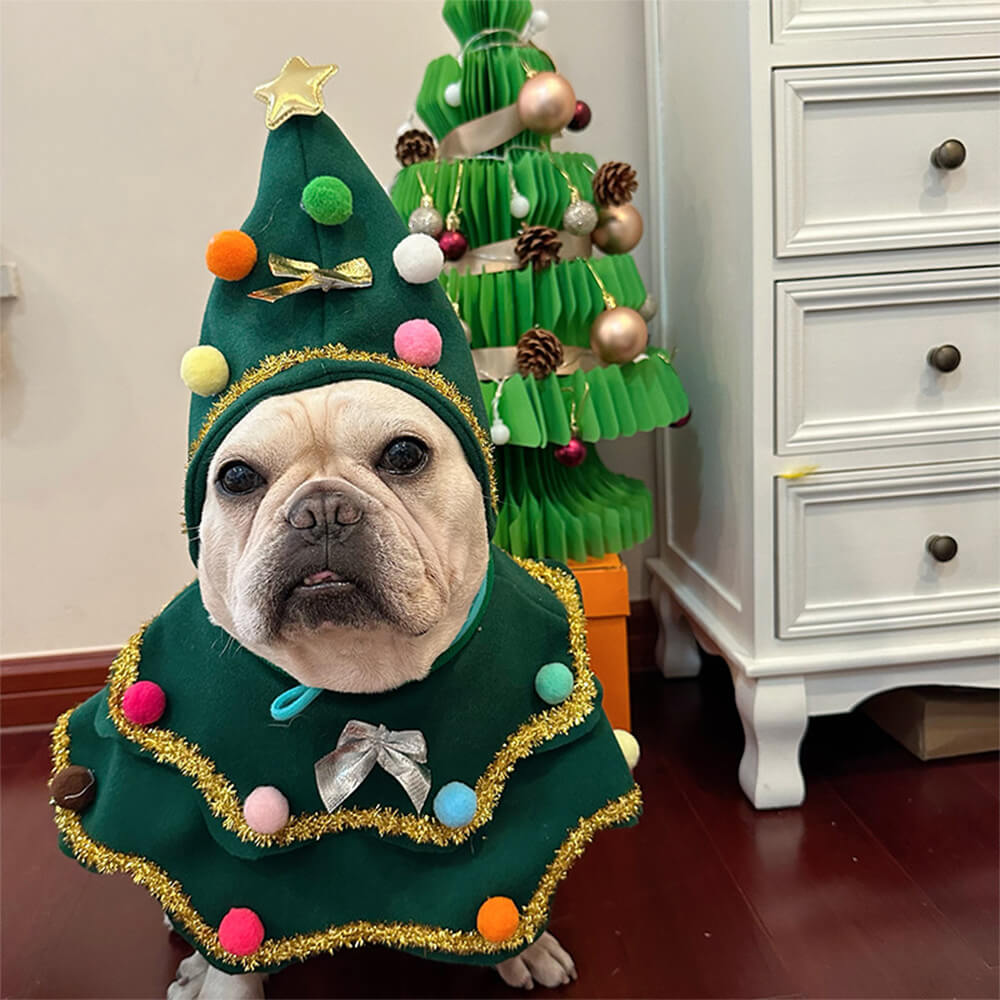 Disfraz de perro y gato con capa y sombrero de árbol de Navidad