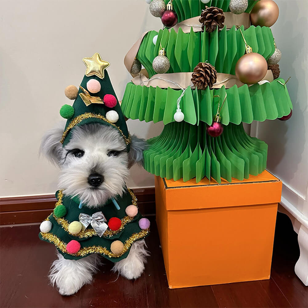 Disfraz de perro y gato con capa y sombrero de árbol de Navidad