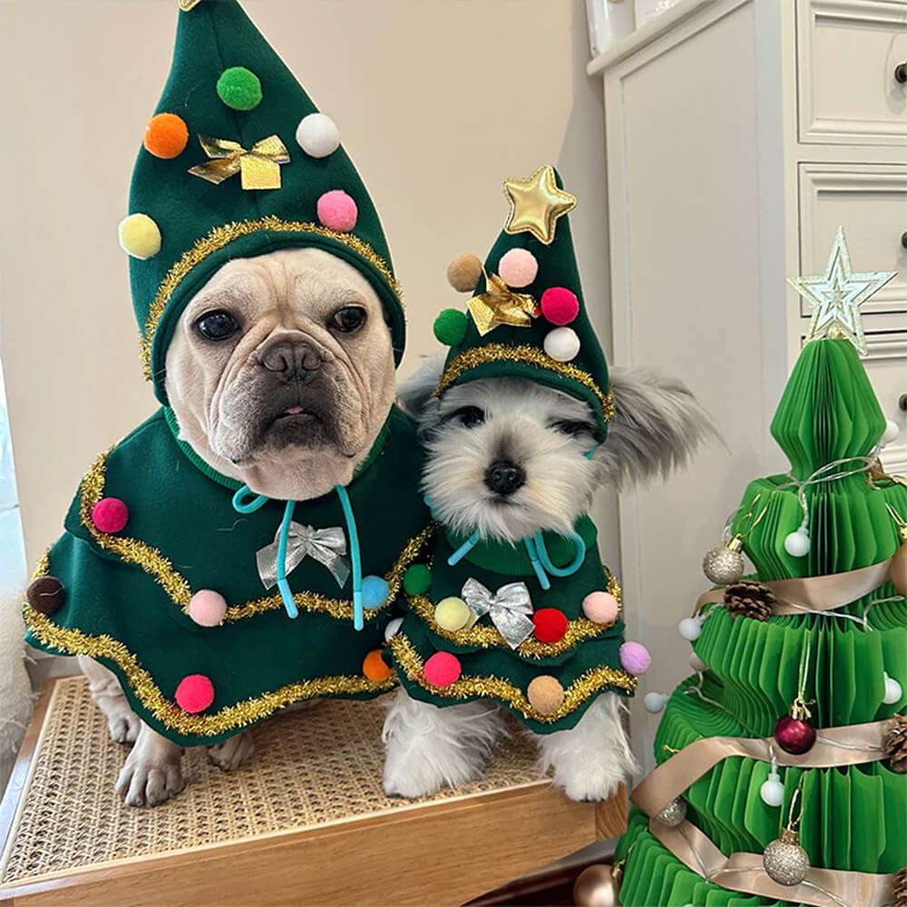 Disfraz de perro y gato con capa y sombrero de árbol de Navidad