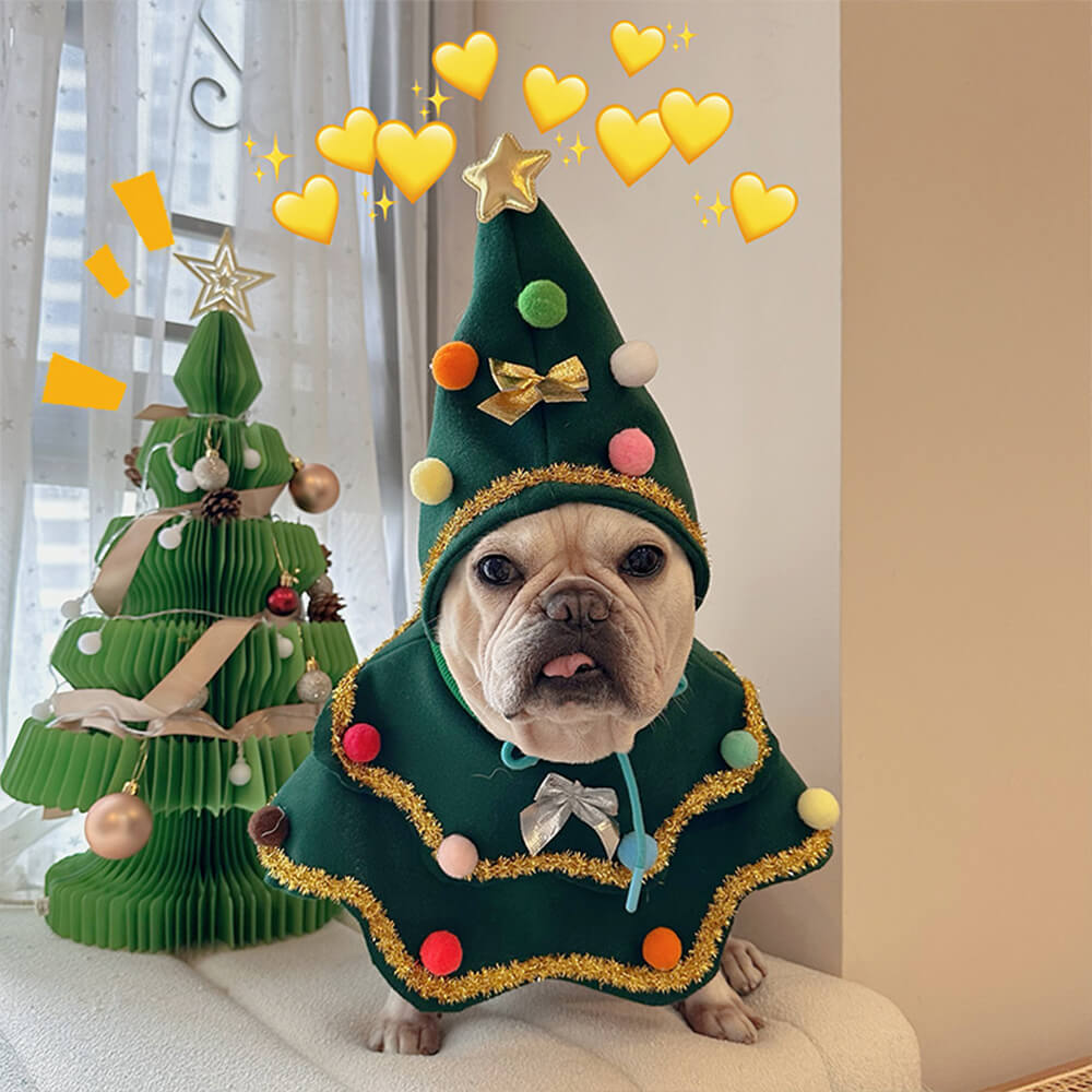 Disfraz de perro y gato con capa y sombrero de árbol de Navidad