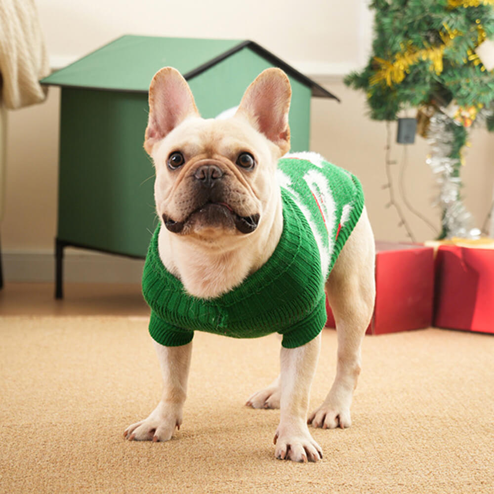 Suéter de punto de cuello alto navideño para perros, jersey a juego para perros y dueños