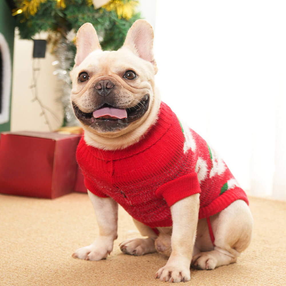 Suéter de punto de cuello alto navideño para perros, jersey a juego para perros y dueños