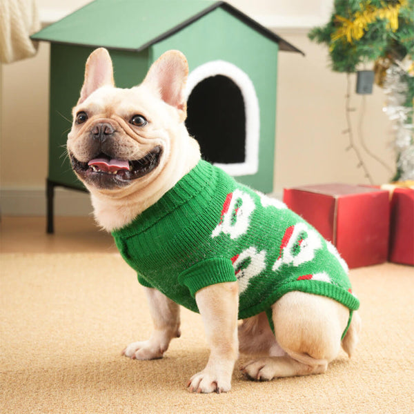 Suéter de punto de perros de cuello de tortuga navideño para perros y propietario