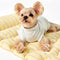 Color-Blocked Striped Breathable Double-Sided Soft Pet Mat