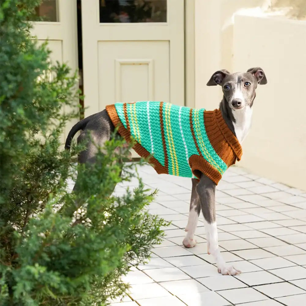 Color Blocked Striped Dachshund Dog Sweater