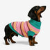 Color Blocked Striped Dachshund Dog Sweater