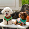 Color Blocked Striped Dachshund Dog Sweater