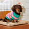 Color Blocked Striped Dachshund Dog Sweater