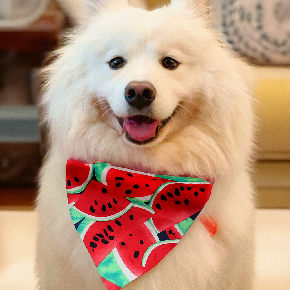 Bandana para perros con accesorios elegantes para mascotas de moda