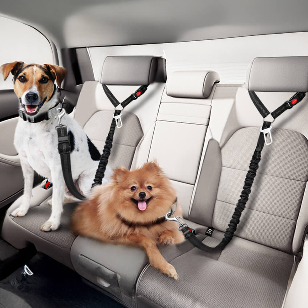 Cinturón de seguridad para perro para reposacabezas de vehículo