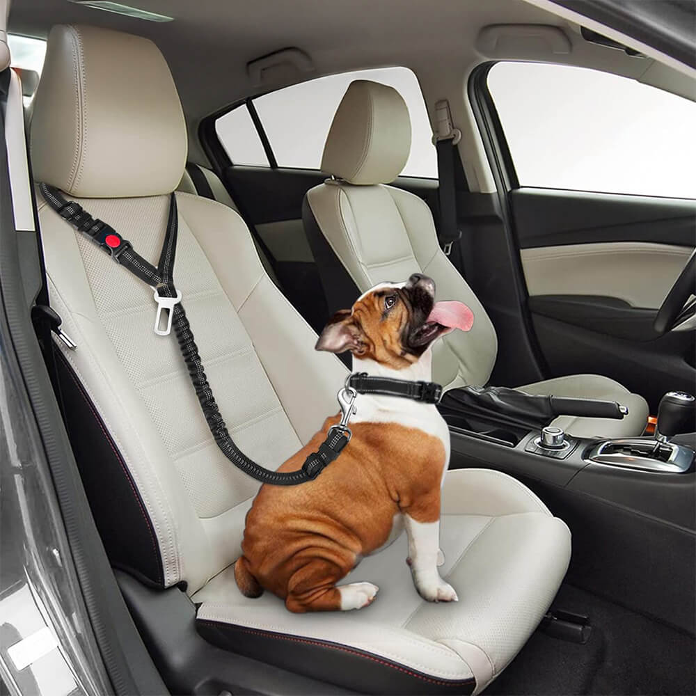 Cinturón de seguridad para perro para reposacabezas de vehículo