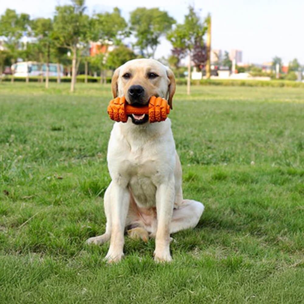 Juguete interactivo duradero para perros con forma de mancuerna de silicona y alimentación lenta