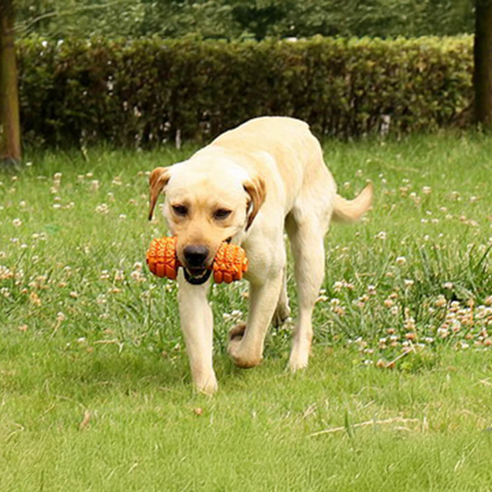 Juguete interactivo duradero para perros con forma de mancuerna de silicona y alimentación lenta