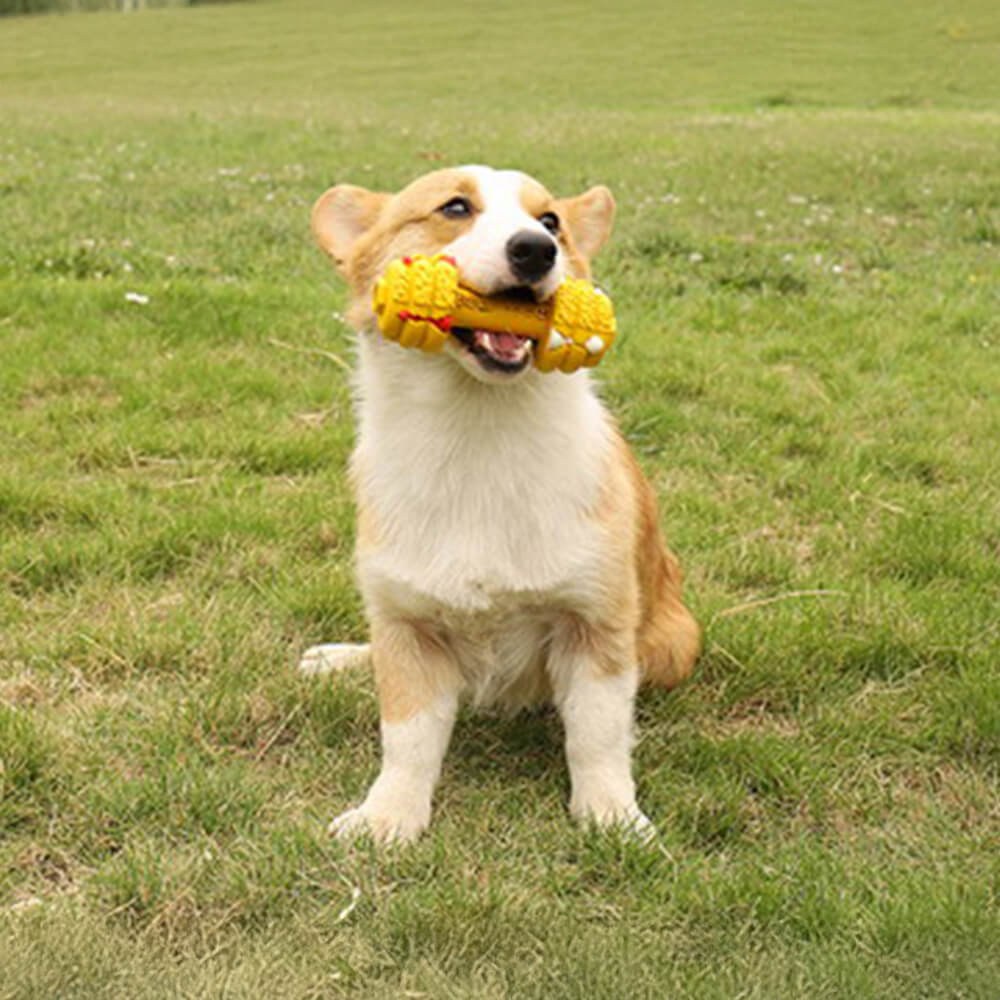 Juguete interactivo duradero para perros con forma de mancuerna de silicona y alimentación lenta