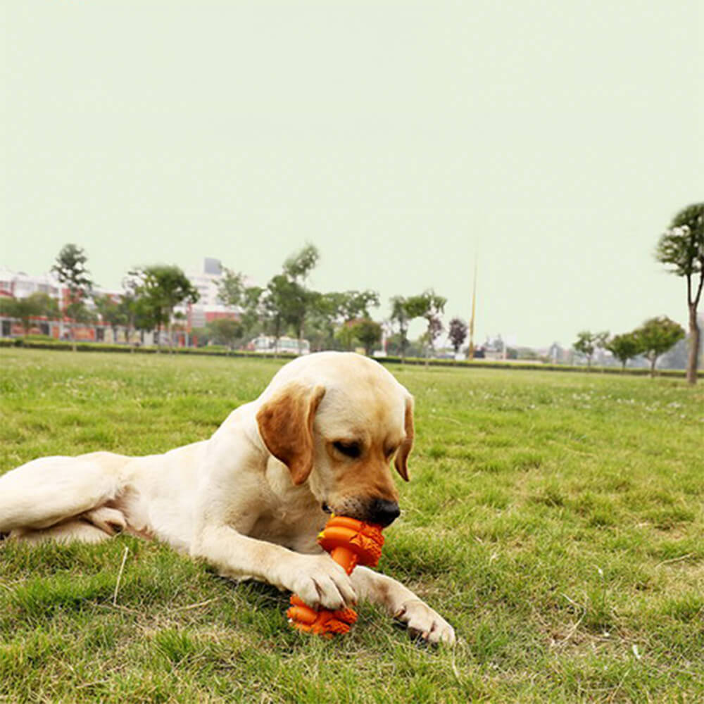 Juguete interactivo duradero para perros con forma de mancuerna de silicona y alimentación lenta