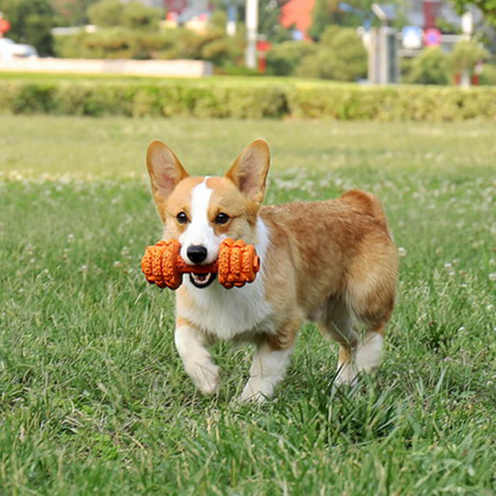 Juguete interactivo duradero para perros con forma de mancuerna de silicona y alimentación lenta