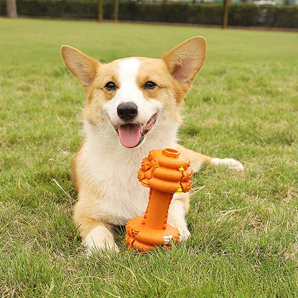 Juguete interactivo duradero para perros con forma de mancuerna de silicona y alimentación lenta