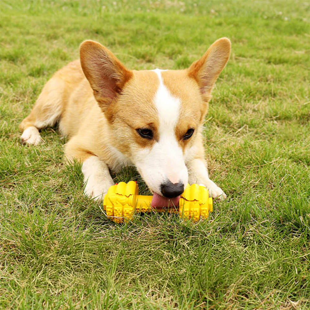 Juguete interactivo duradero para perros con forma de mancuerna de silicona y alimentación lenta