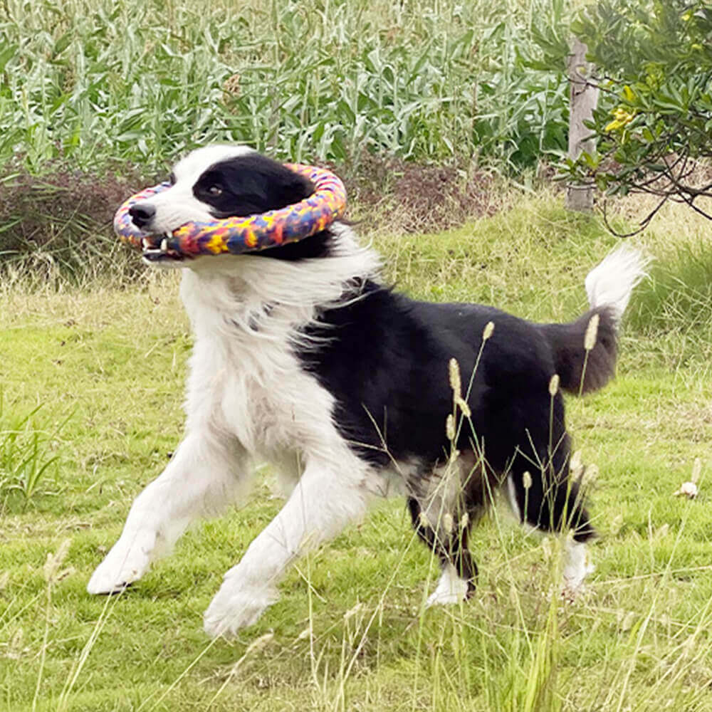 Juguete para perros con diseño de camuflaje duradero, cuerda resistente a las mordeduras, serie de juguetes flotantes para el agua