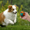 Juguete de goma de huevo de Pascua para perros: juguete de masticación divertido y duradero