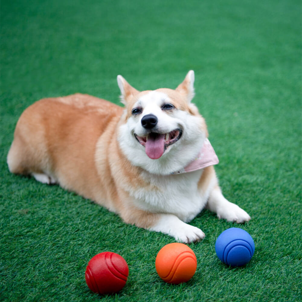 Juguete Elástico y Chirriante de Bola Flotante para Perros