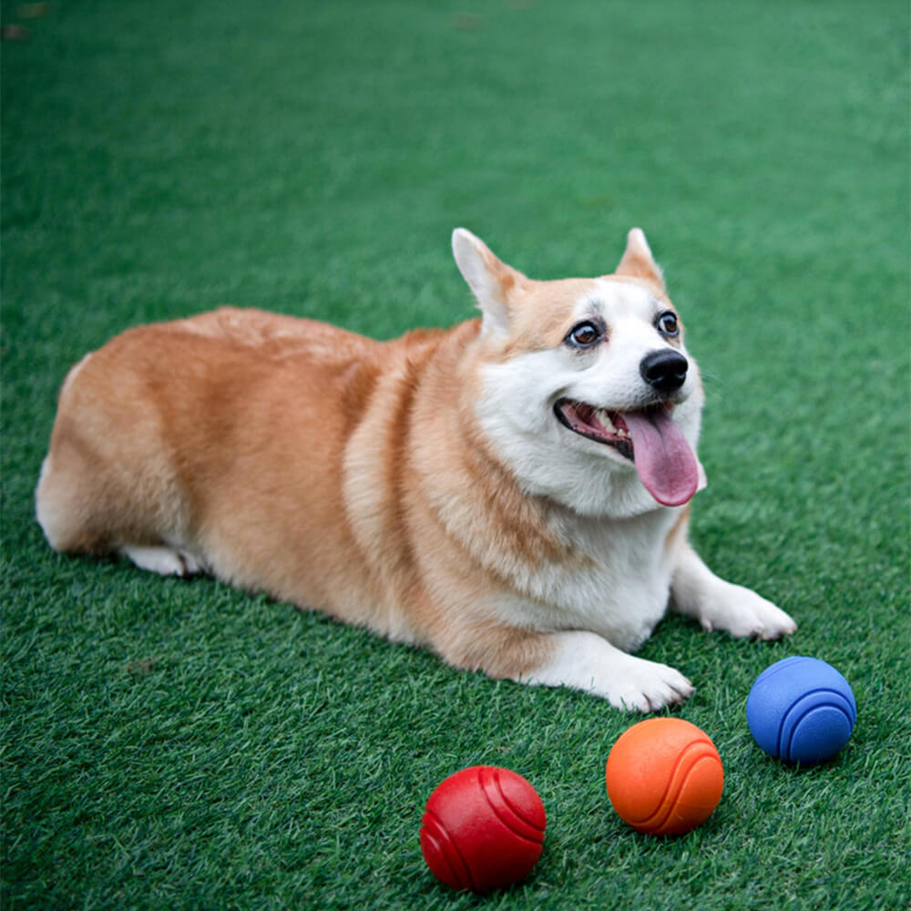 Juguete Elástico y Chirriante de Bola Flotante para Perros