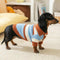 Faux Wool Color-Block Dog Sweater with Striped Collar for Dachshunds