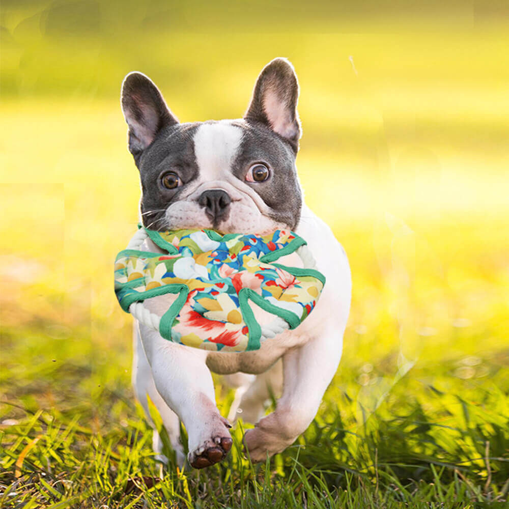 Juguete para perros resistente a mordeduras con estampado floral, juguete chirriante