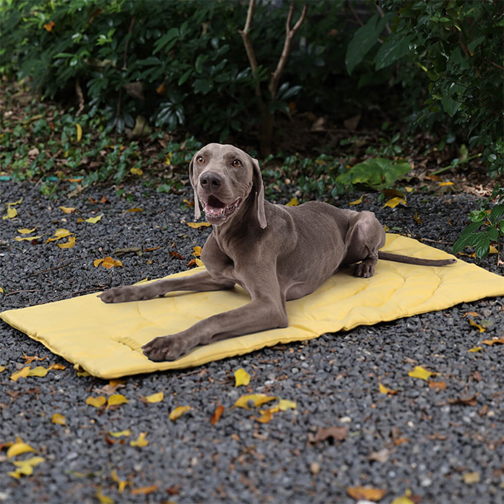 Estera portátil impermeable plegable del asiento de coche del perro estera que acampa del perro