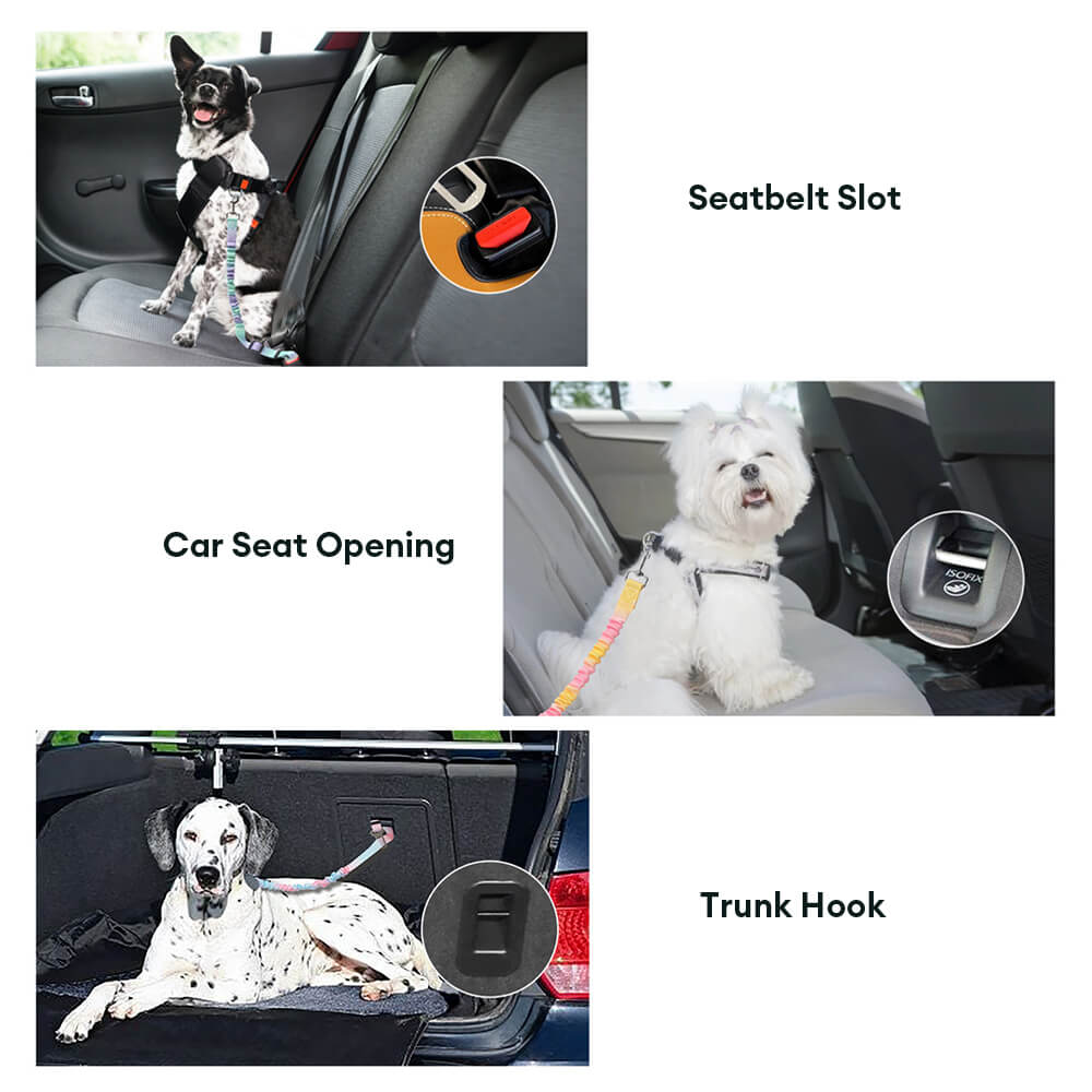 Cinturón de seguridad para mascotas con absorción de impactos elásticos en gradiente