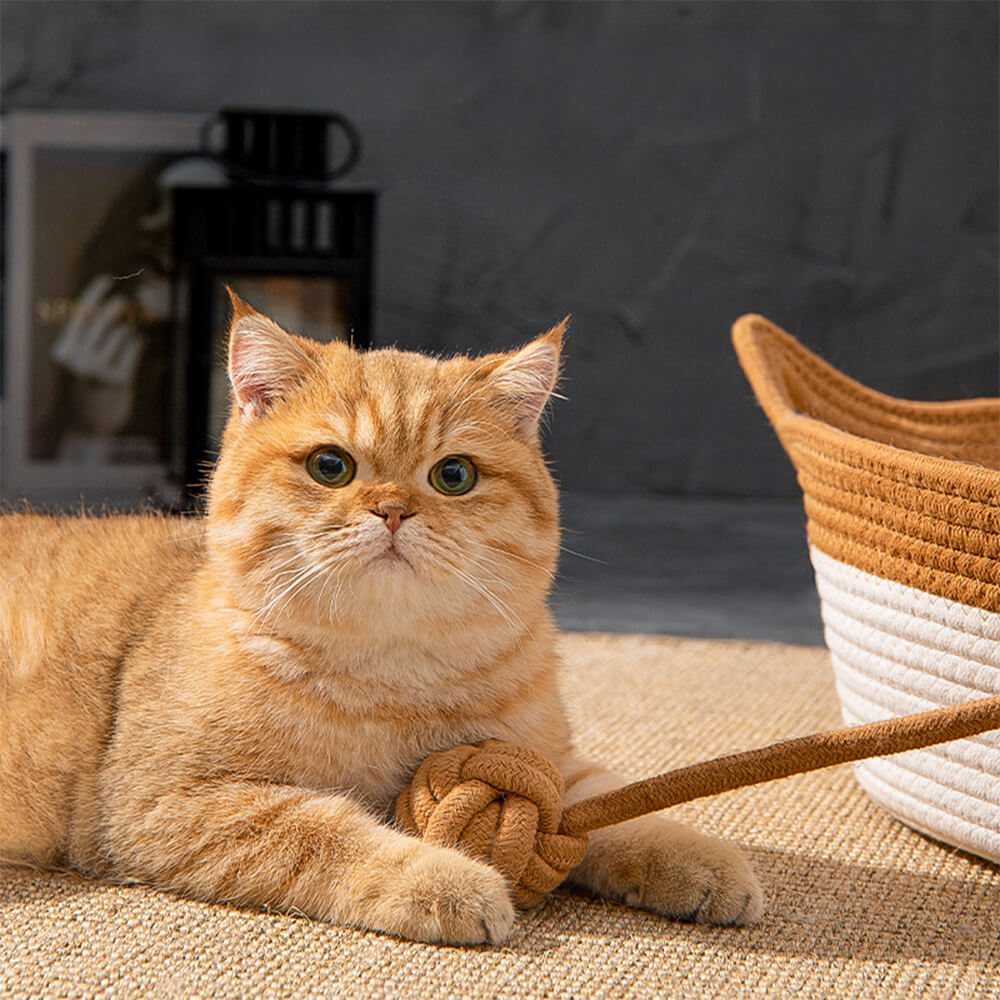 Cama nido para gatos hecha a mano, acogedora, multiusos, duradera y tejida