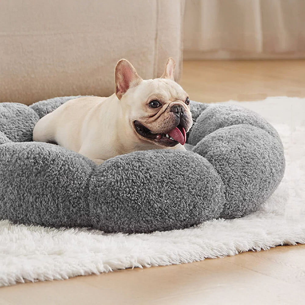 Cama para perros y gatos con forma de flor, cálida, de soporte completo, lavable y decorativa