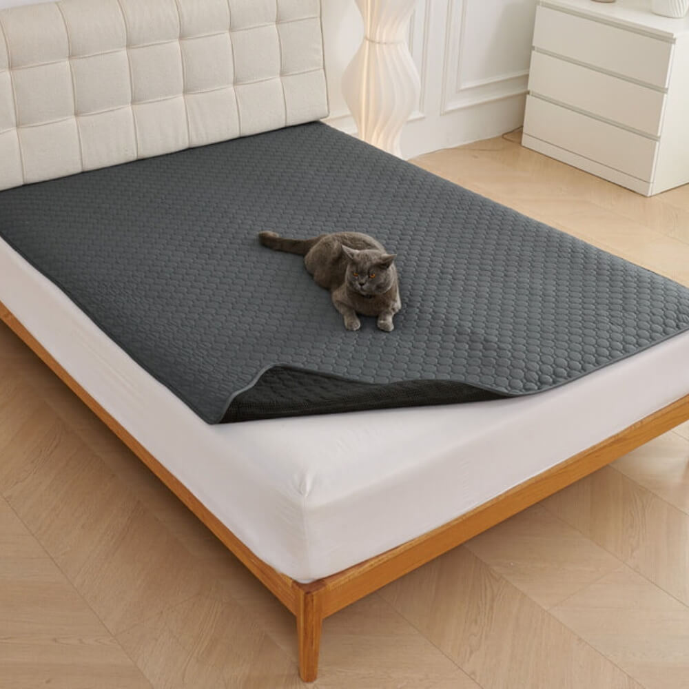 Estera absorbente multiusos a prueba de fugas y lavable para sofá y cama para mascotas