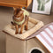 Casa de gato plegable multifuncional con cojín para dormir y jugar