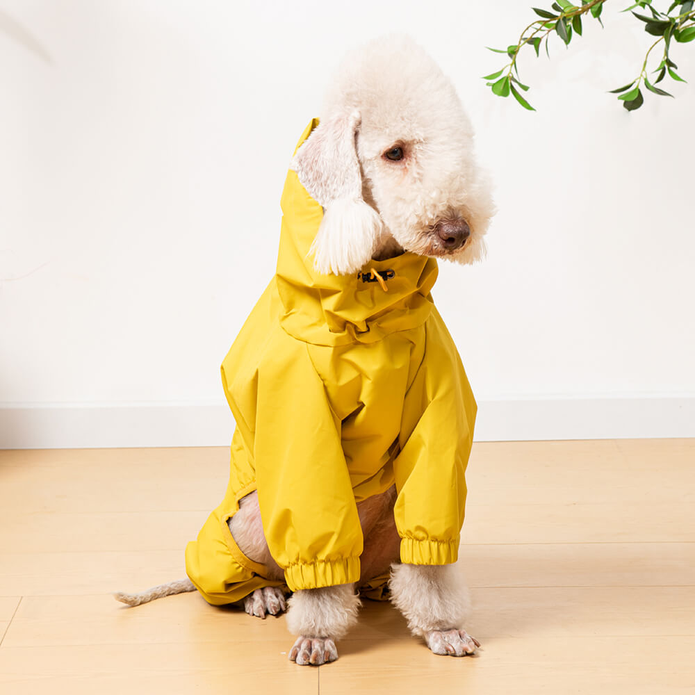 Chubasquero ligero e impermeable para perros con capucha para exteriores