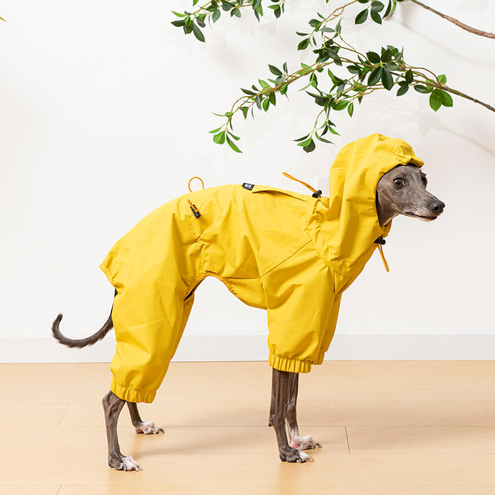 Chubasquero ligero e impermeable para perros con capucha para exteriores