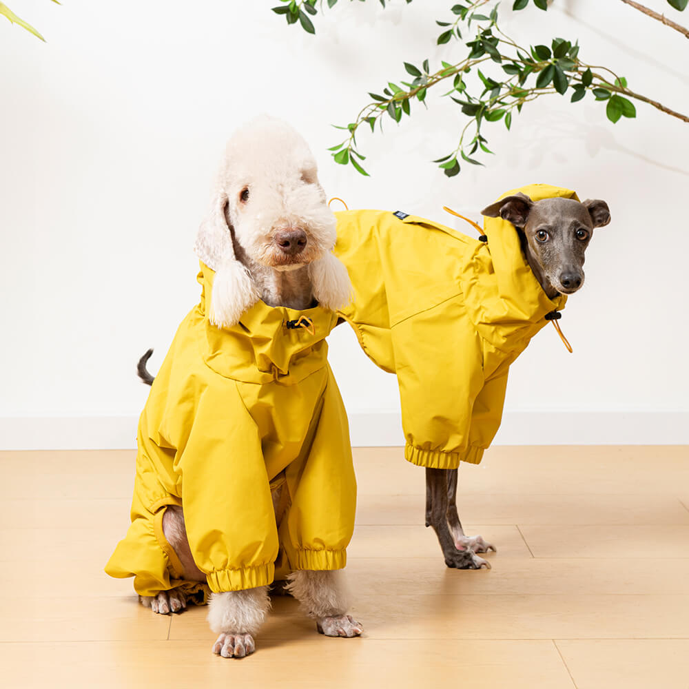 Chubasquero ligero e impermeable para perros con capucha para exteriores