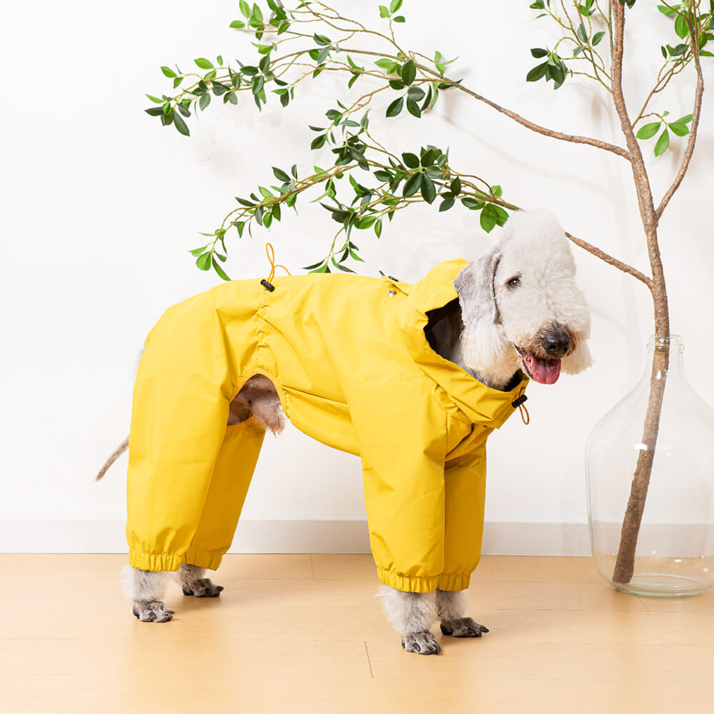 Chubasquero ligero e impermeable para perros con capucha para exteriores