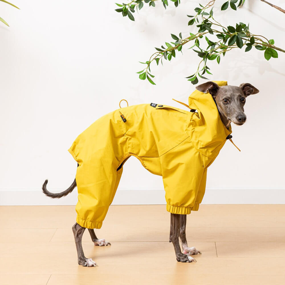 Chubasquero ligero e impermeable para perros con capucha para exteriores