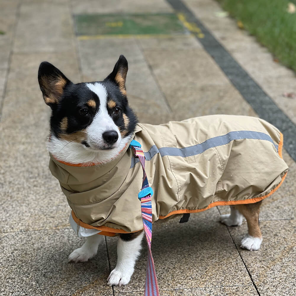 Chubasquero ligero e impermeable para perros con capucha y tira reflectante para exteriores