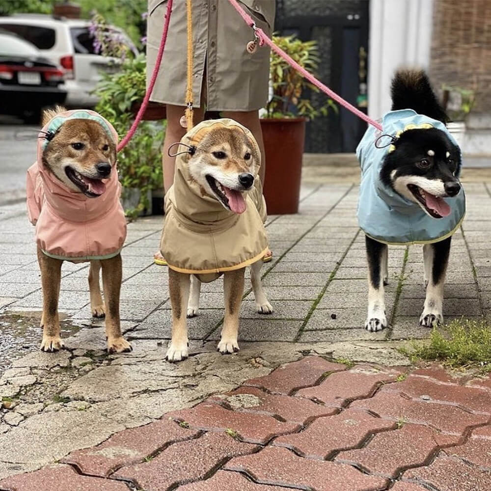 Chubasquero ligero e impermeable para perros con capucha y tira reflectante para exteriores