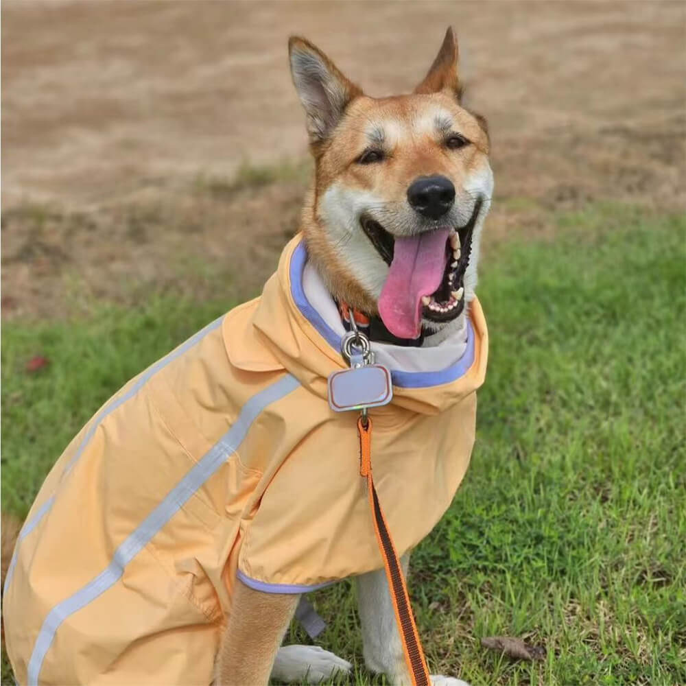 Chubasquero ligero e impermeable para perros con capucha y tira reflectante para exteriores