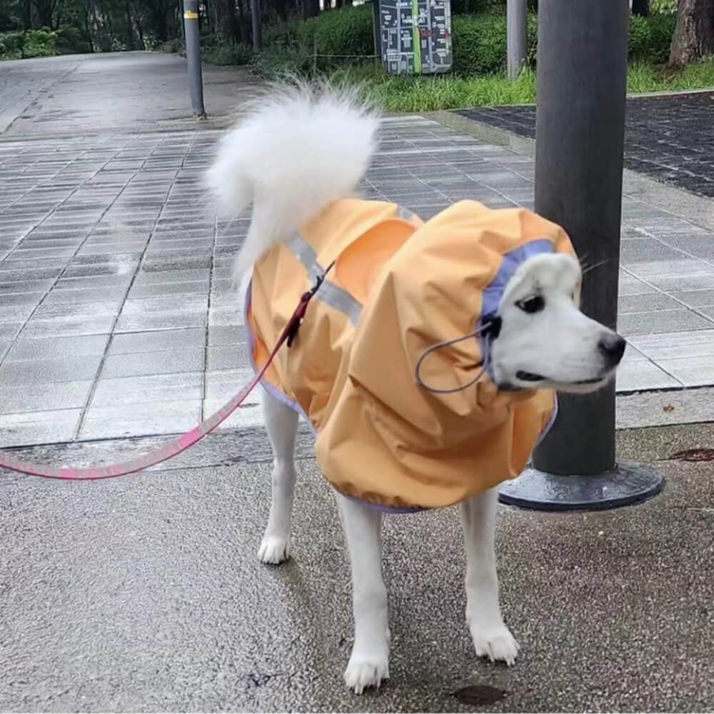 Chubasquero ligero e impermeable para perros con capucha y tira reflectante para exteriores