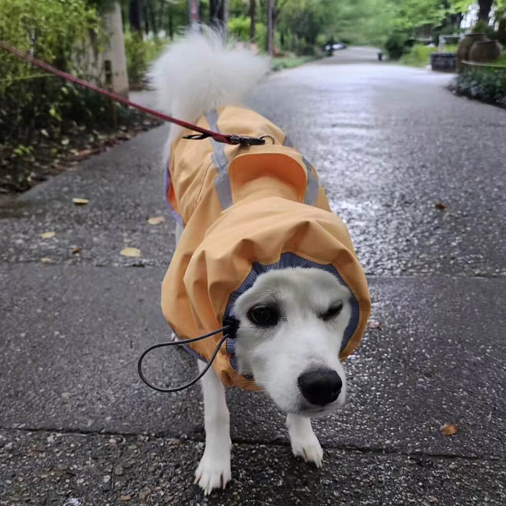 Chubasquero ligero e impermeable para perros con capucha y tira reflectante para exteriores