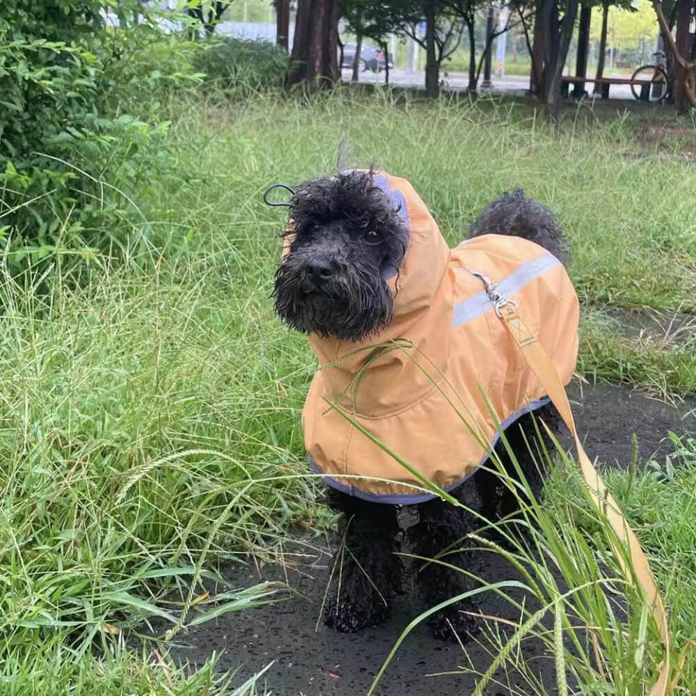 Chubasquero ligero e impermeable para perros con capucha y tira reflectante para exteriores